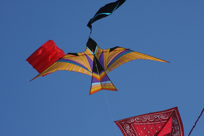 IMG_5397.JPG