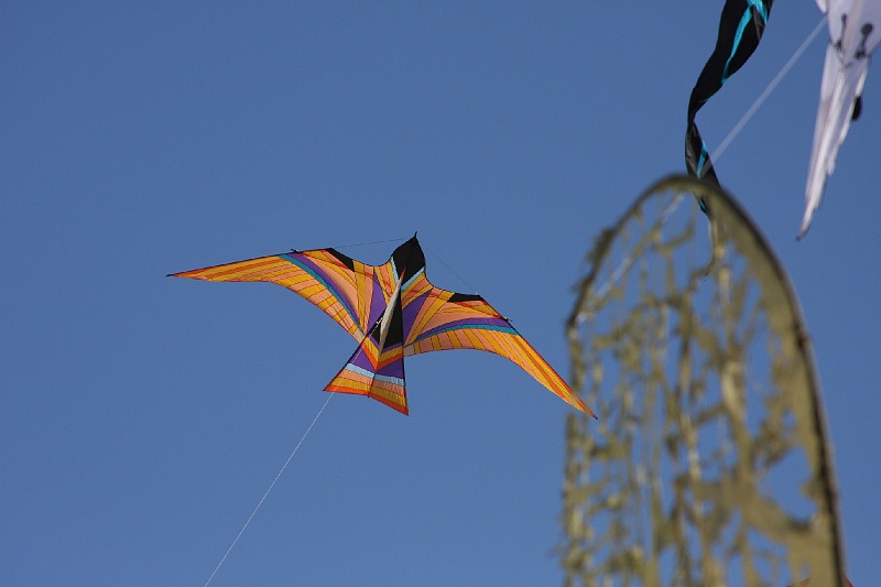 IMG_5409.JPG