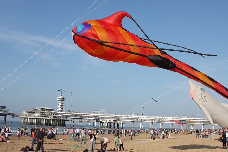 IMG_5472.JPG