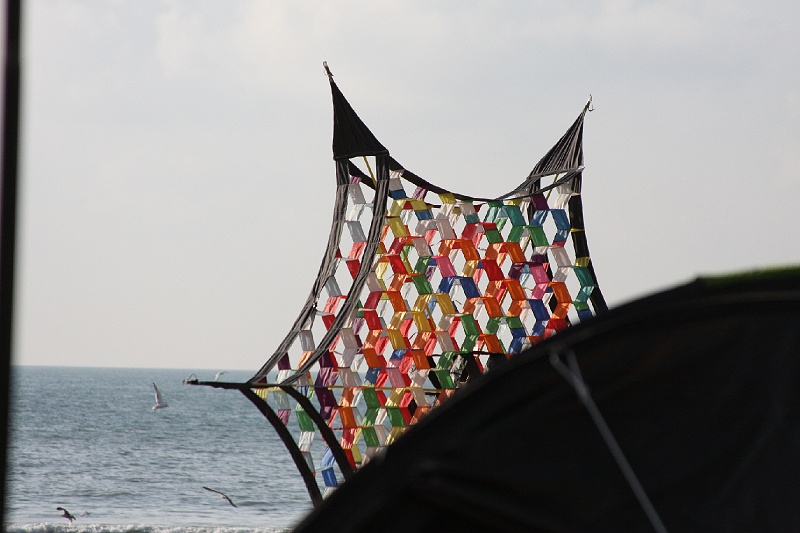 IMG_5545.JPG