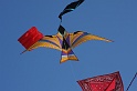 IMG_5397