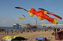 IMG_5548